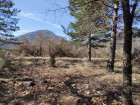vente agricole   CASTELLANE 88 000€ 