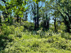 vente terrain   Apt 89 000€ 