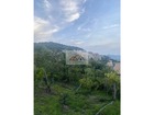 vente terrain   Muro  363 800€ 