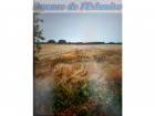 vente agricole   MESCHERS SUR GIRONDE  122 100€ 
