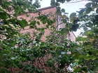 vente maison  T6 Cergy  306 000€ 