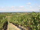 vente Maison/villa  T6 Bégadan 5 900 000€ 