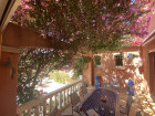vente maison  T6 LEUCATE  980 000€ 