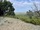 vente terrain   BIGUGLIA  525 000€ 