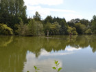 vente conservation   MONTREUIL POULAY  157 500€ 
