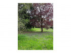 vente Terrain   Feytiat 96 000€ 