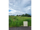 vente terrain   Savigny sur clairis 33 000€ 