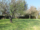 vente terrain   La celle les bordes  157 700€ 