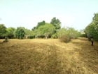 vente terrain   Vénès 52 500€ 