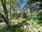 vente terrain   Pézilla la Rivière 18 000€ 
