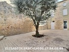 vente Maison/villa  T5 Villefranche-de-Lonchat  188 640€ 