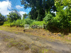 vente terrain   Le robert  148 000€ 