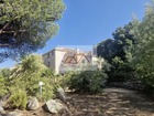 vente maison  T10 Solenzara 1 500 000€ 