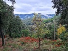 vente terrain   Cendras 98 000€ 