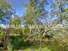 vente terrain   ANDERNOS LES BAINS  609 000€ 