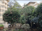 vente appartement  T4 BIARRITZ 1 743 000€ 