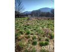 vente terrain   Saint Sernin du Bois 15 000€ 