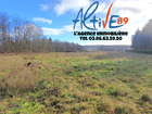 vente terrain   Charbuy 41 500€ 
