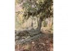 vente commercial   RIEC SUR BELON 40 000€ 