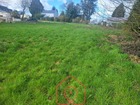 vente Terrain constructible   GUERN 16 000€ 