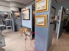 vente Local commercial   LE TREPORT  230 000€ 
