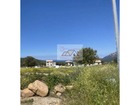 vente terrain   Calenzana  153 000€ 