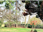 vente terrain   Gaillon 96 990€ 