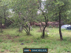 vente terrain   Valmascle 39 500€ 