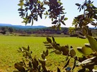 vente terrain   La Bastidonne  233 200€ 