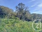 vente terrain   Porto vecchio  234 000€ 