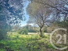 vente terrain   Porto vecchio  234 000€ 