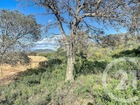 vente terrain   Porto vecchio  234 000€ 