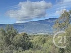 vente terrain   Porto vecchio  228 000€ 