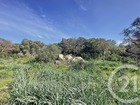 vente terrain   Porto vecchio  191 000€ 