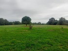 vente terrain   Montlieu-la-Garde  378 000€ 