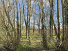 vente 0   VILLEMEREUIL 67 000€ 