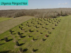 vente terrain   CHAPDEUIL  149 800€ 