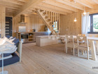 location Gîte  T3 Besse Et Saint Anastaise  410€ 