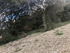 vente terrain   La Baume-de-Transit  128 400€ 
