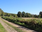 vente terrain   Chassenon 86 000€ 