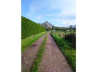 vente terrain   Chassenon 24 000€ 