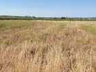 vente terrain   Saint-Hilaire-d'Ozilhan 13 990€ 