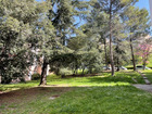 vente appartement  T3 Apt 50 000€ 