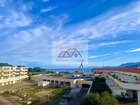 vente appartement  T2 Lumio  322 000€ 