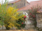 vente maison/villa  T6 L'Absie  135 000€ 