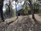 vente terrain   SANTA LUCIA DI MORIANI  325 000€ 