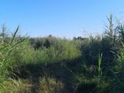 vente terrain   Saint-André  280 000€ 