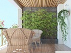 vente appartement  T2 Serris  289 000€ 