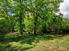 vente terrain   Villefranche-de-Lonchat 53 990€ 