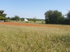 vente terrain   DARVAULT  102 500€ 